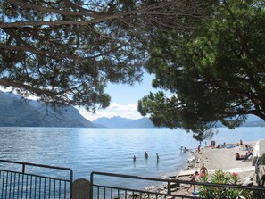 Vista sul lago con spiaggia, montagne sullo sfondo e un albero in primo piano.