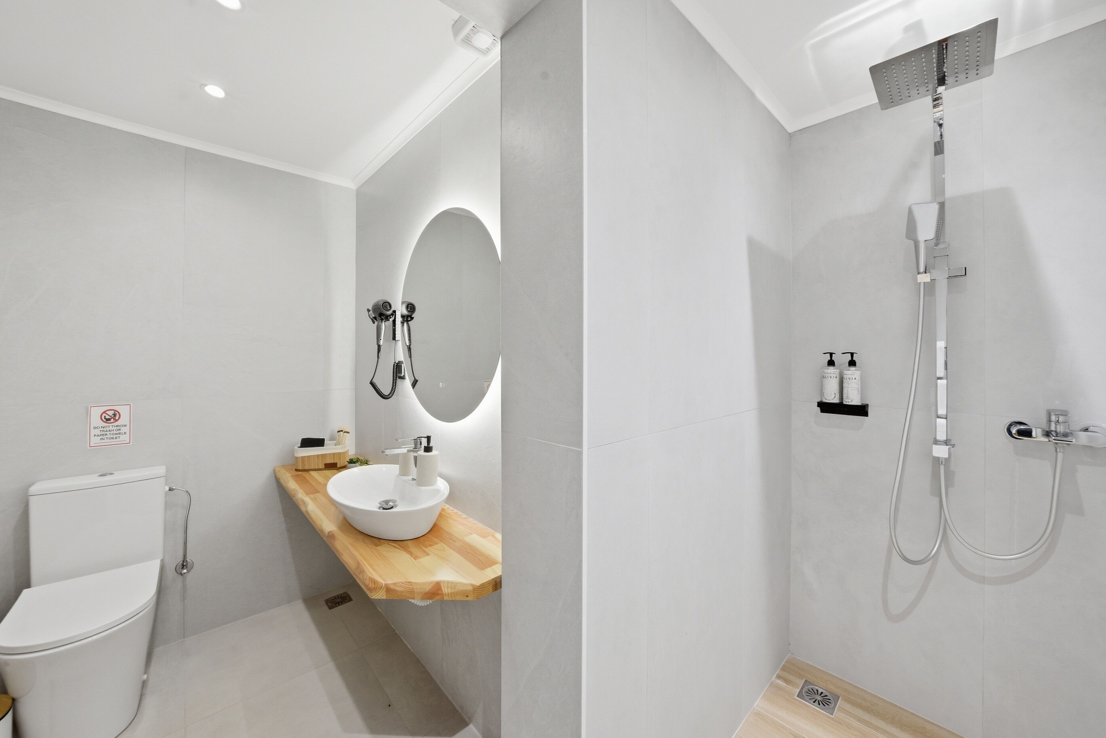 Shower, hair dryer