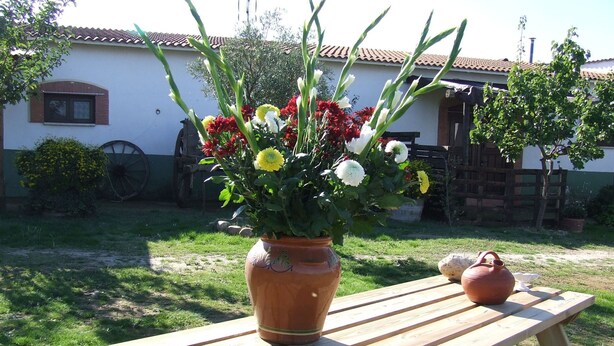 Terraço/pátio