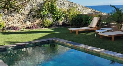 Villa Petit Paradis, sea view, pool and spa in Beaulieu, between Nice and Monaco