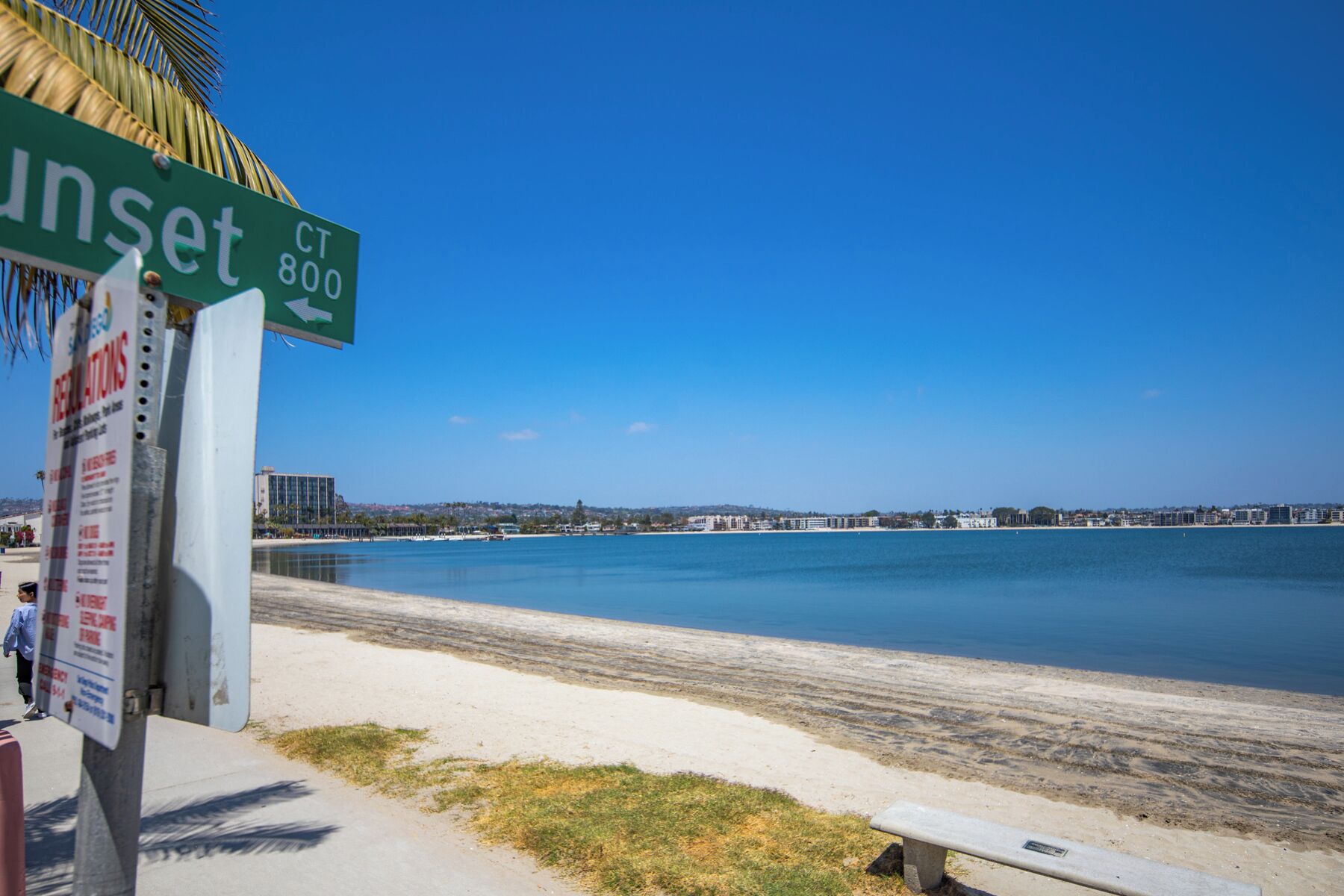 Une plage avec un palmier, un panneau de rue indiquant « Sunset 800 », et un banc.