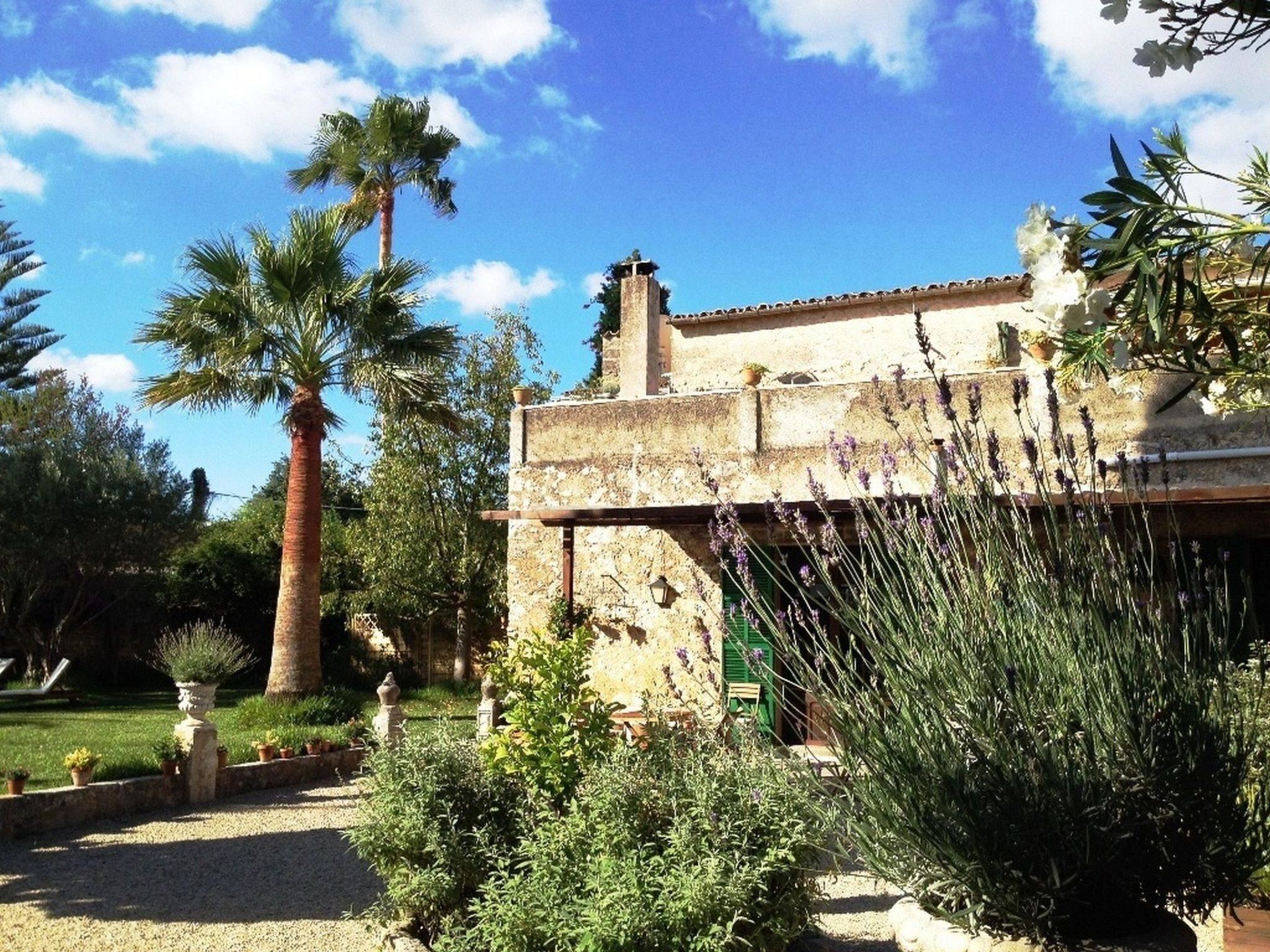 Áreas de la propiedad