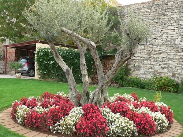 Property grounds - Villa Maria (100111-K1) - Cervar - Porat (Porec) (Cervar - Porat (Porec))