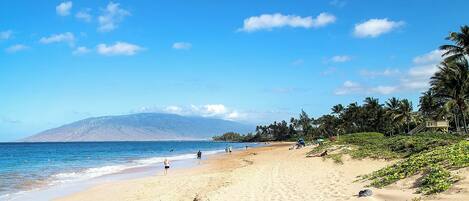 Une plage avec une montagne en arrière-plan, un ciel dégagé et des palmiers.