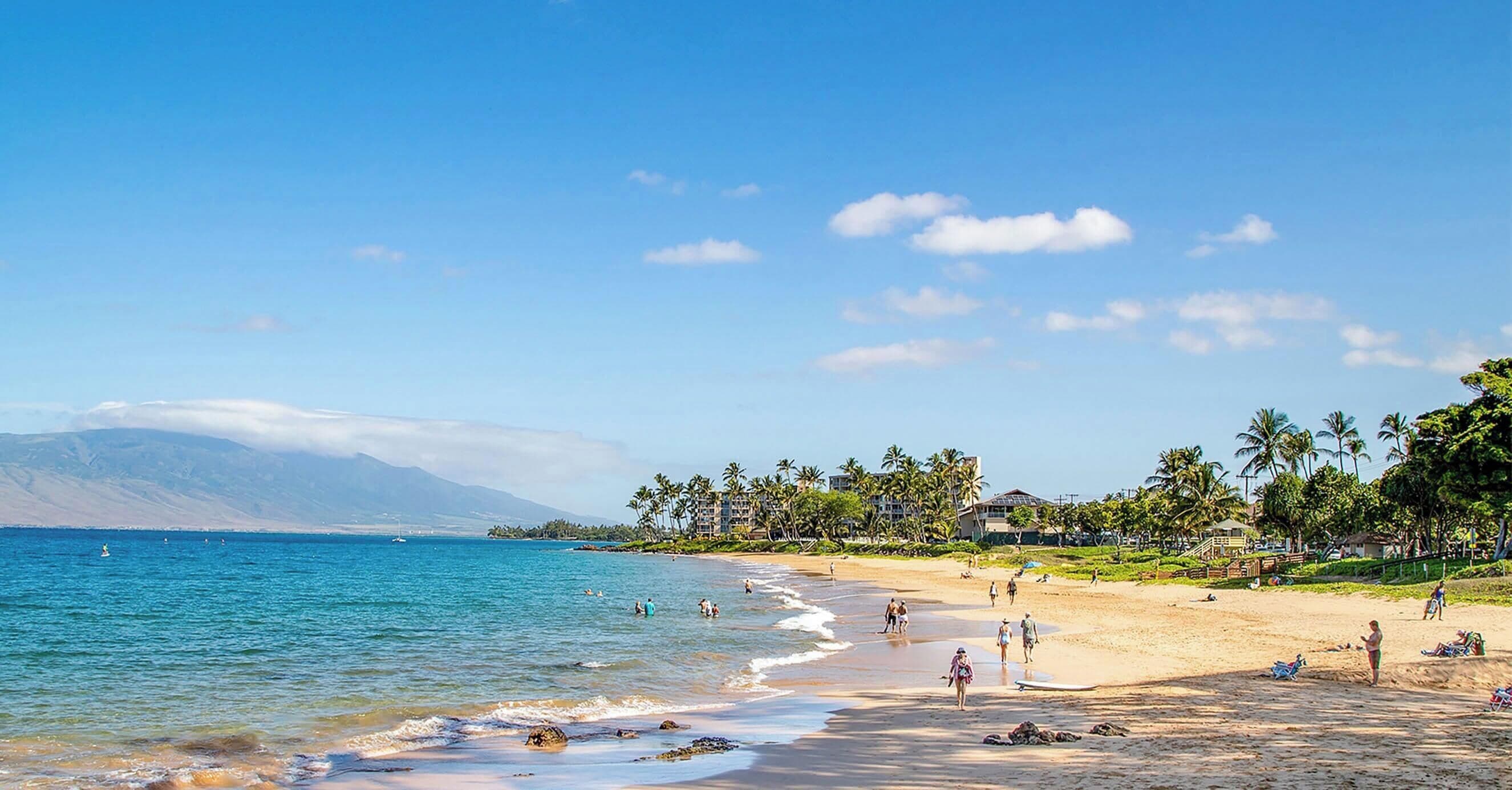 A beach with clear water, palm trees, and a mountain in the background.