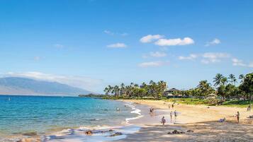 A beach with clear water, palm trees, and a mountain in the background.