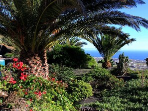Property grounds - Casa Roco III by Interhome (La Asomada)
