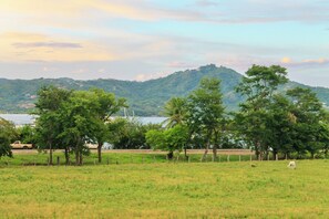 Exterior - NELBLU FLAMINGO SUITES (Playa Flamingo Guanacaste)
