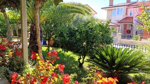 Un jardín con diversas plantas y una casa al fondo.