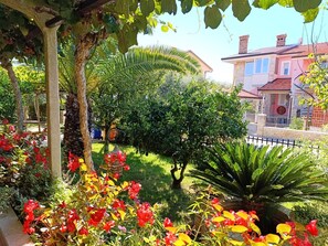 Property grounds - Apartment Vesna (16052-A1) - Medulin (Medulin)