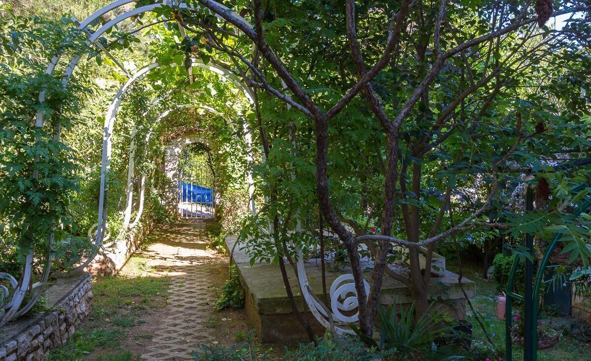 Área da propriedade