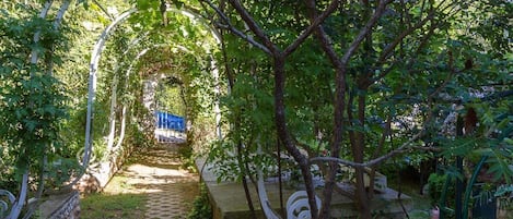 Área da propriedade