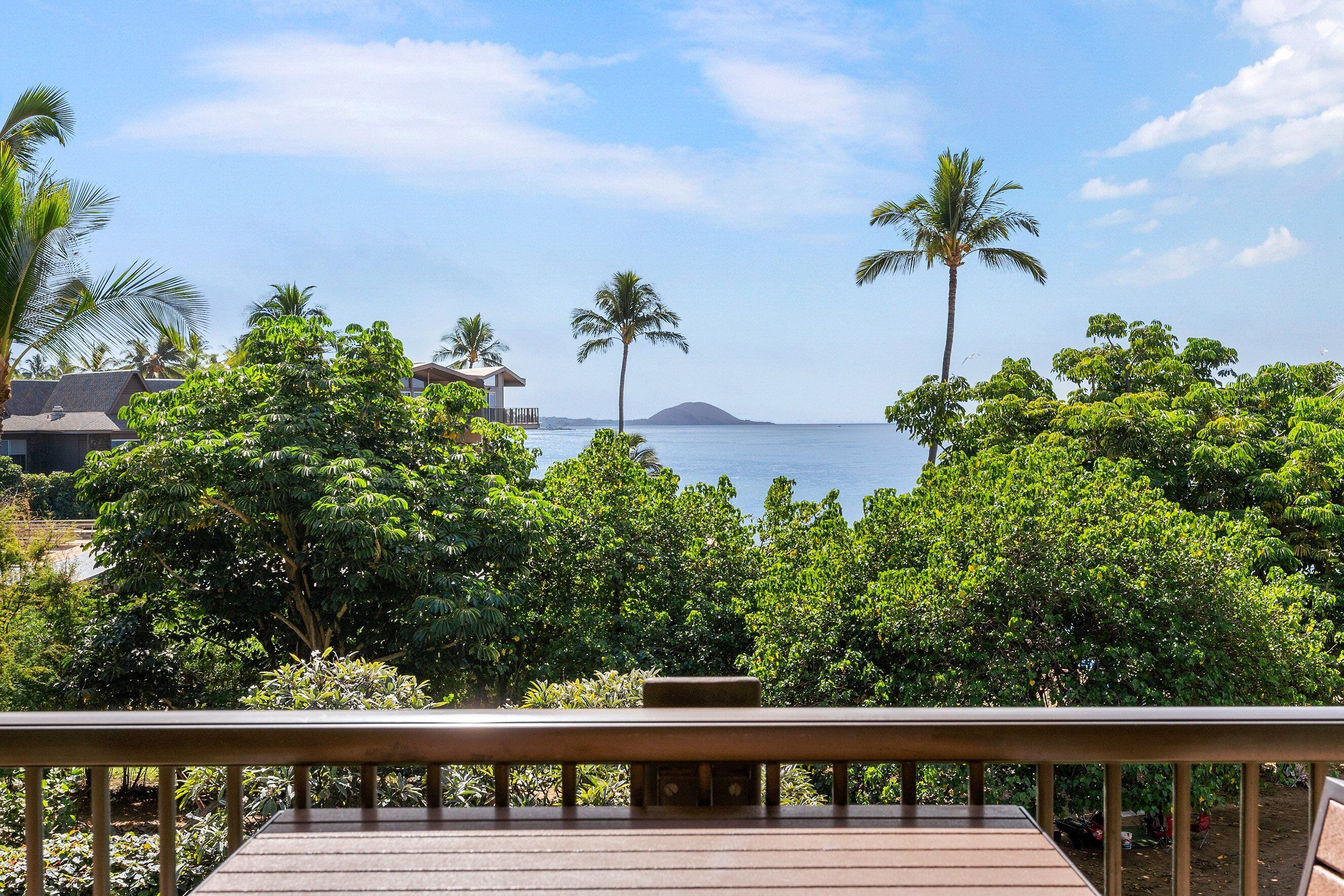 A wooden deck with a bench, surrounded by lush greenery and palm trees, overlooking a body of water and a distant island.