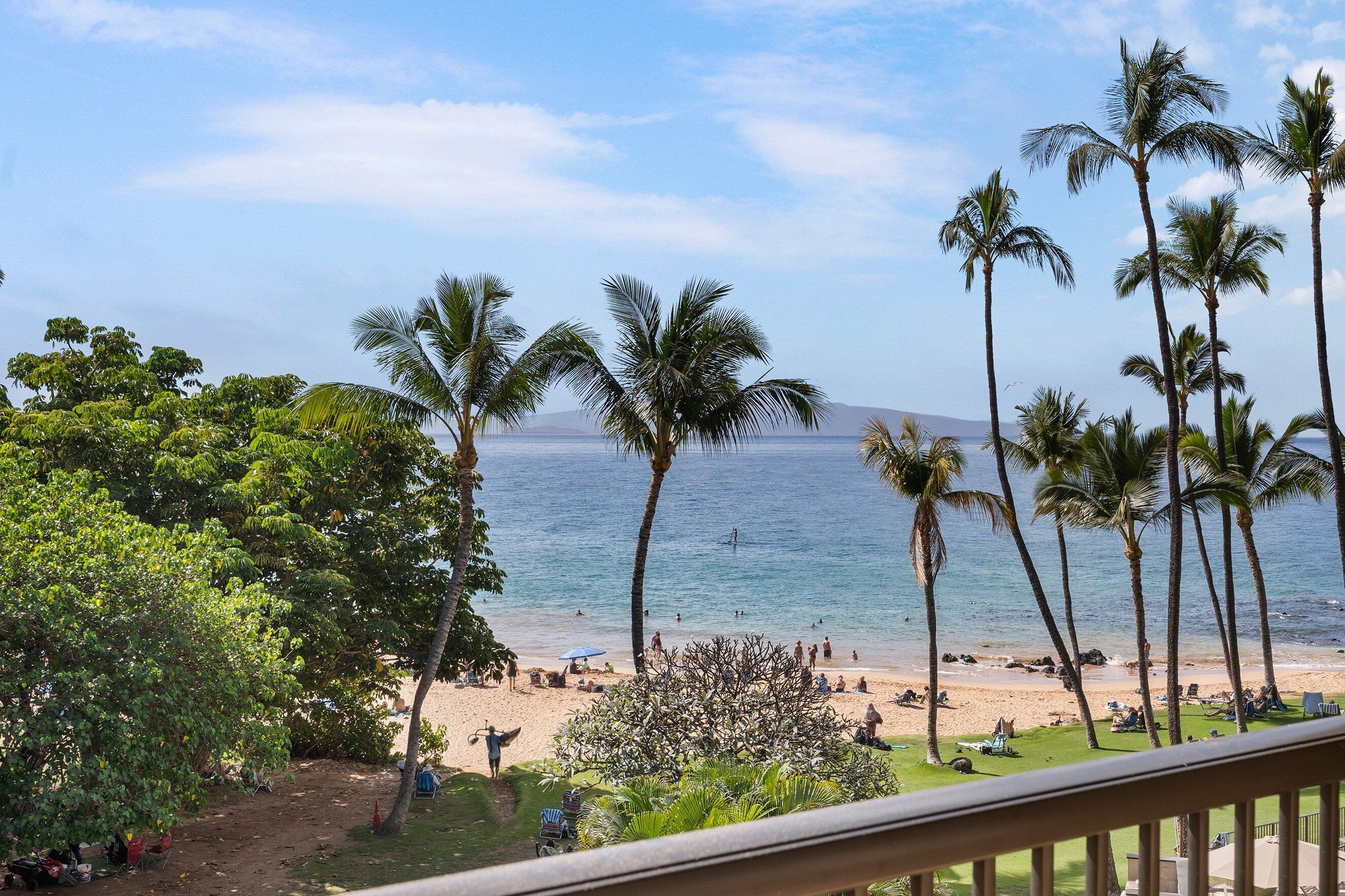 A beach with palm trees and a view of the ocean.