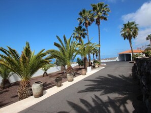 Property grounds - Finca Alcala Tota by Interhome (Playa San Juan)