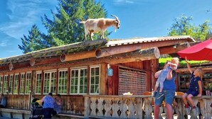 A rustic wooden building with a wooden deck and a goat standing on the roof.