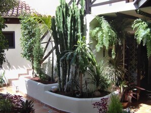Property grounds - für 2 Personen ca. 45 m² in Icod de los Vinos, Teneriffa (Nordküste von Te by Interhome (Icod de los Vinos)