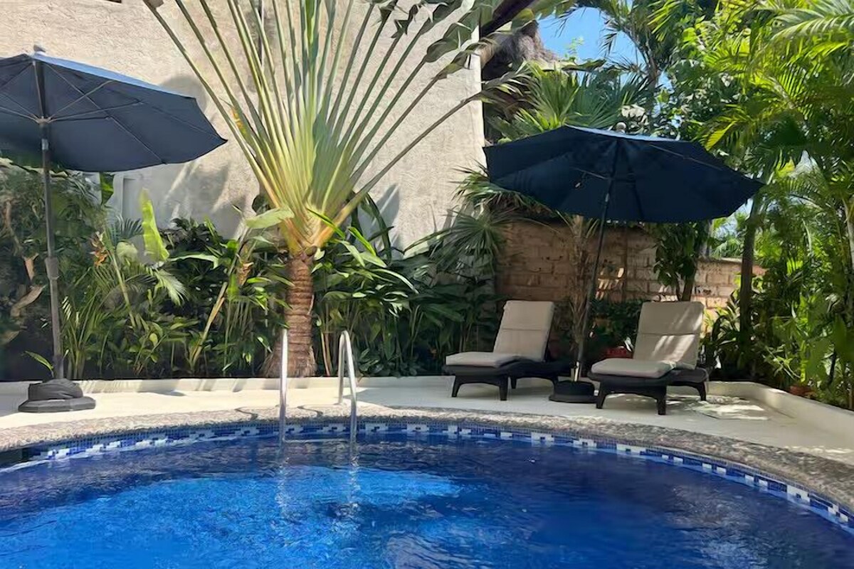 Piscina con sillones de descanso y sombrillas, rodeada de plantas tropicales.