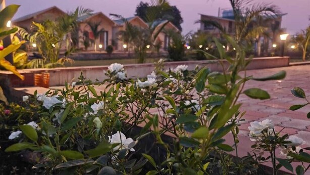 Zona ajardinada con flores blancas y diversas plantas, que conduce a una hilera de edificios con un estilo arquitectónico uniforme.