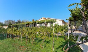 Property grounds - Apartments Vlah (16433-A2) - Medulin (Medulin)