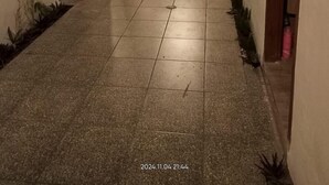 Ein Korridor mit Fliesenboden, Holztüren und Zimmerpflanzen.