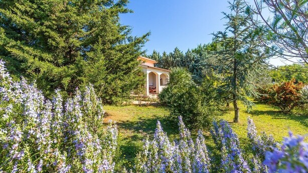 A small building with a red roof and arched entrance, surrounded by lush greenery and purple flowers. - House Ondina (16469-K1) - Medulin (Medulin)