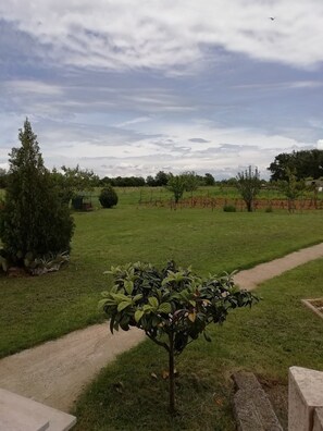 Property grounds - Apartment Rossa (16545-A1) - Liznjan (Liznjan)