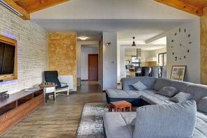 TV, ping pong - House Ivano (16775-K1) - Rovinj (Rovinj)