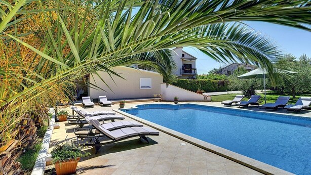 A swimming pool with lounge chairs, surrounded by palm trees and a house in the background. - Apartments Delia (16841-A1) - Medulin (Medulin)
