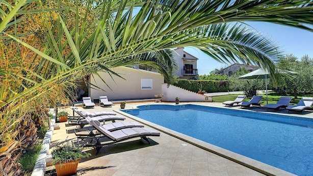 Una piscina con sillas de descanso, rodeada de palmeras y una casa al fondo.