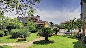 Un jardín cuidado con un sendero pavimentado, una palmera y una zona de piscina.
