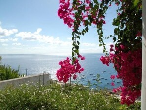 Property grounds - Wohnung C by Interhome (Eolie Lipari)