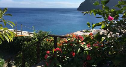 flach D by Interhome