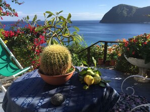 Terras