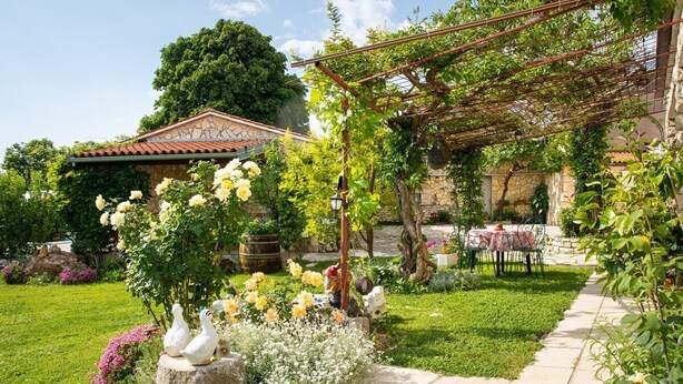 Outdoor dining - Apartments Barat (73588-A1) - Zminj (Zminj)