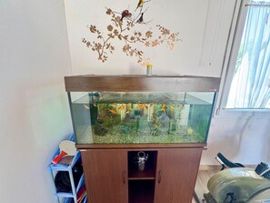 A fish tank on a wooden cabinet with a decorative wall piece above it. - Apartments Barat (73588-A2) - Zminj (Zminj)