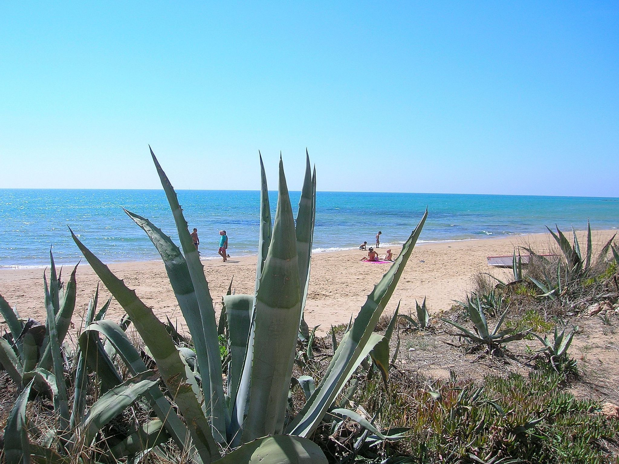 Beach