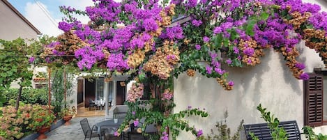 Restauration en plein air