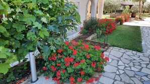 Ein Garten mit einem Kiesweg, einer Pergola und verschiedenen Pflanzen, darunter rote Blüten und eine Feigenbaum.