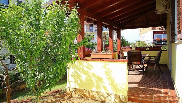Une terrasse couverte avec une table et des chaises, entourée de plantes en pot et d’un petit arbre.