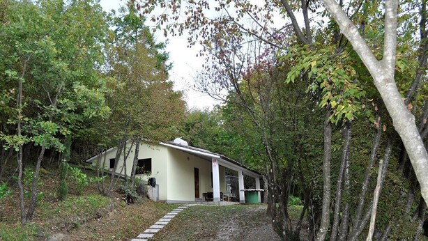 Exterior - House Monte Maggiore (73885-K1) - Pazin (Pazin)