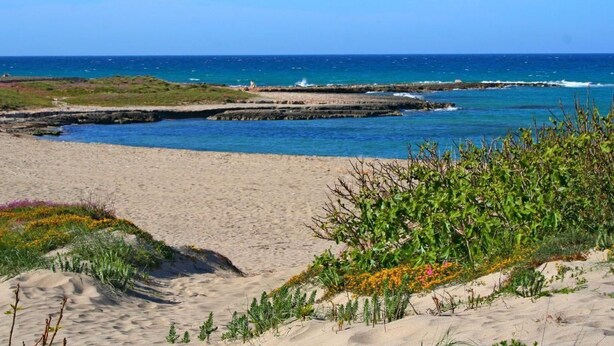 Playa