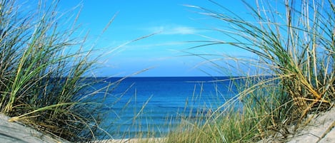 Ranta