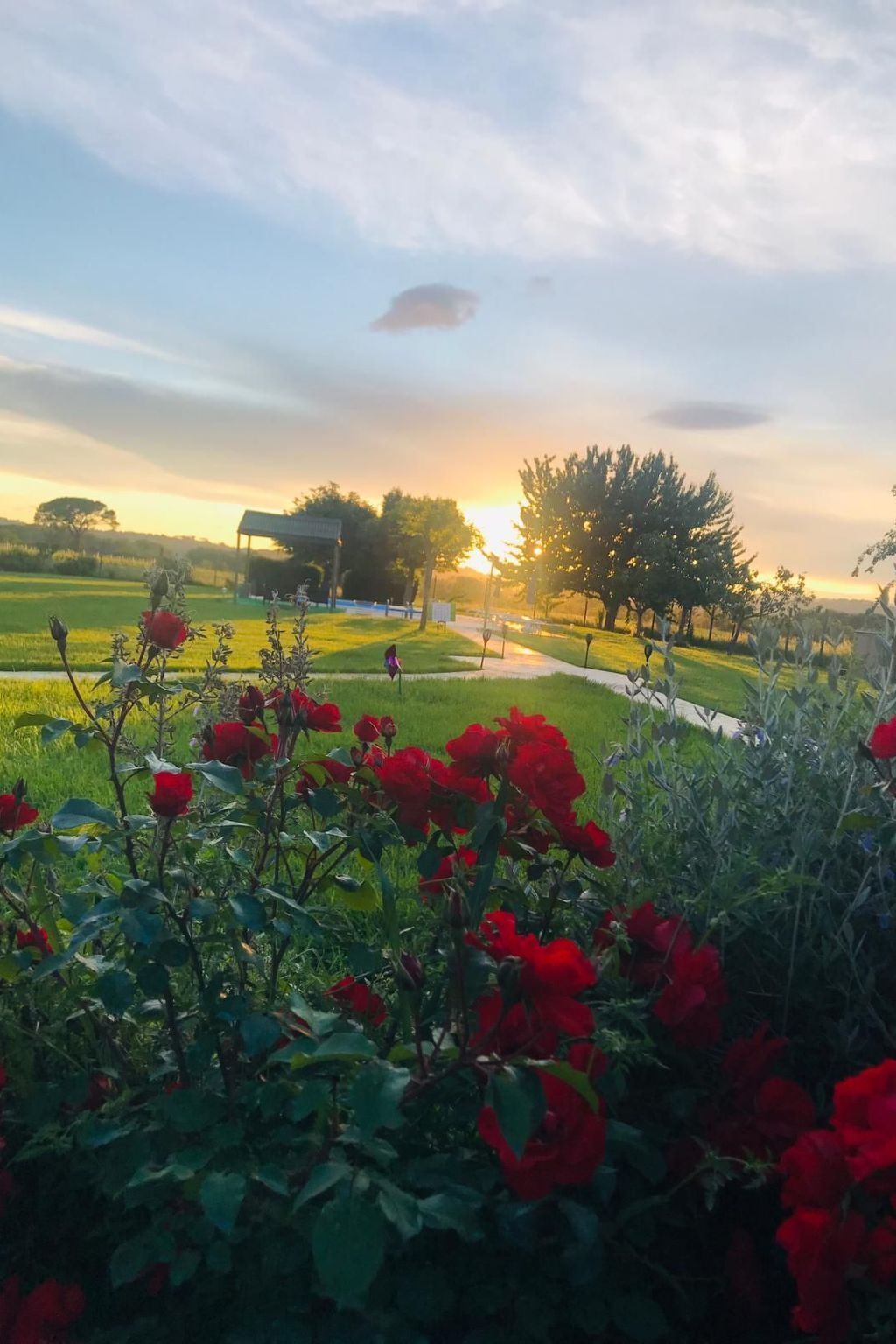 Áreas de la propiedad