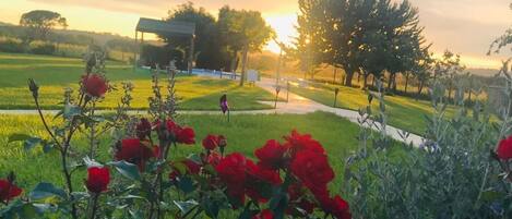 Áreas de la propiedad