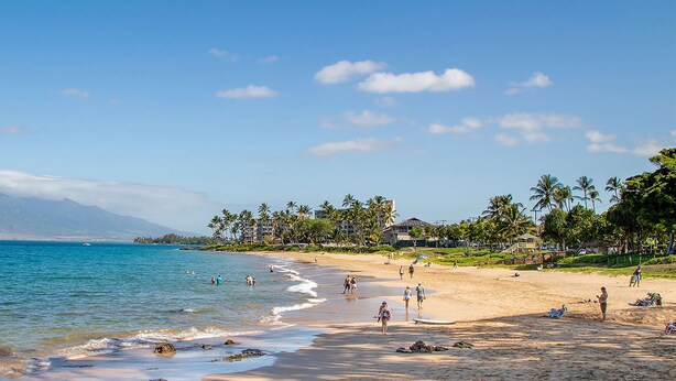 A beach with clear skies, palm trees, and a mountain in the background. - Budget Friendly - Kihei Akahi C-608, Ocean Views, Short Walk to Kamaole Beach II (Kihei)
