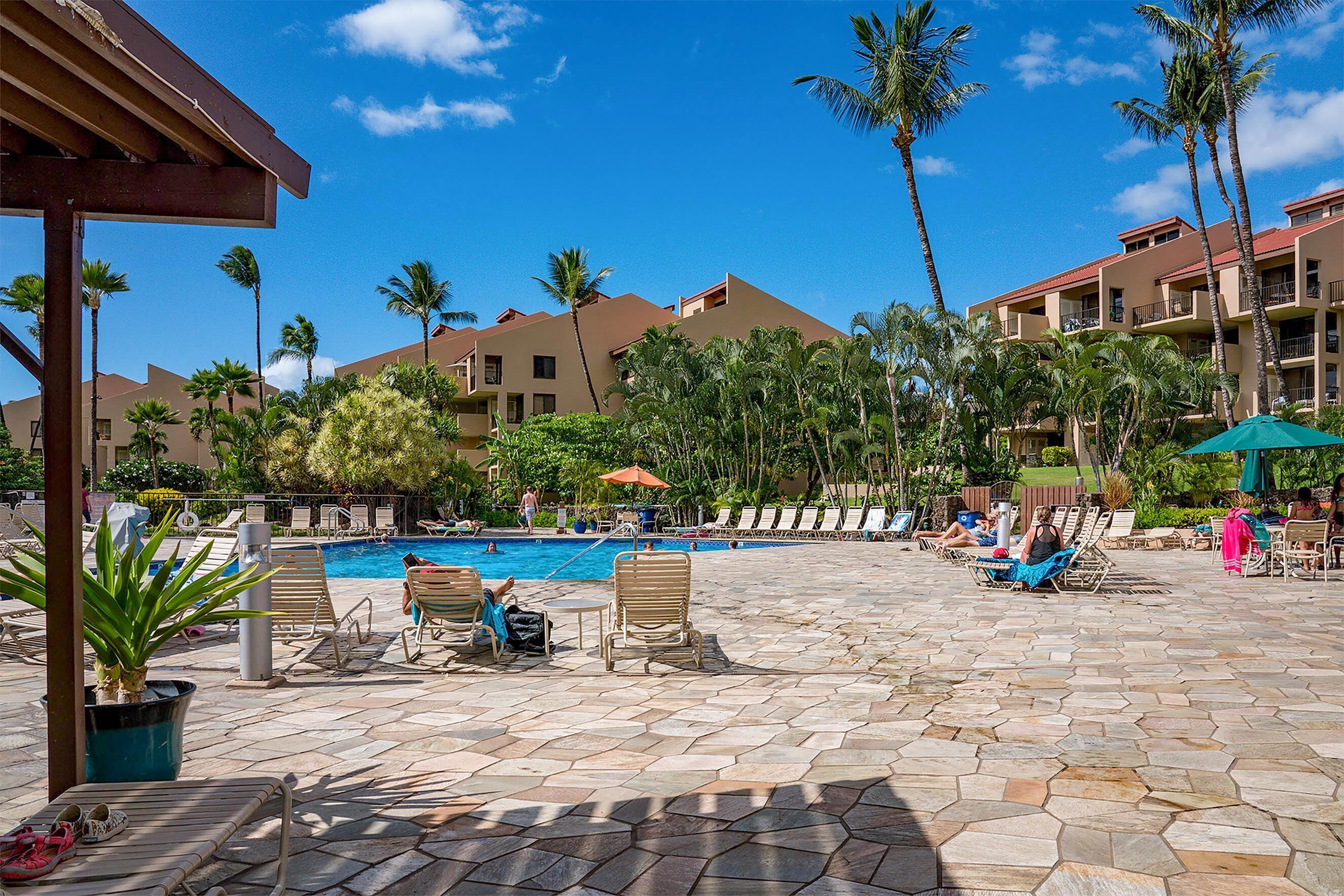 Un espace aménagé au bord de la piscine, avec des chaises longues, une piscine, des palmiers et un bâtiment doté de balcons.