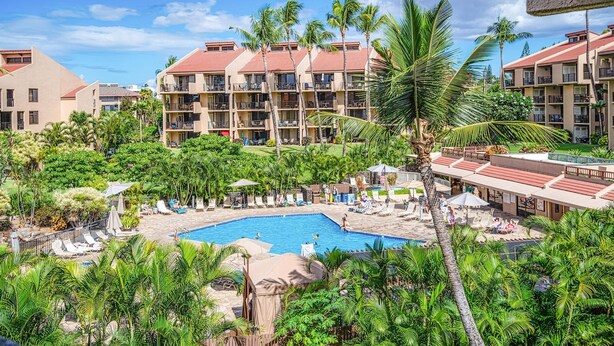 Un resort con piscina rodeada de palmeras y sillas de descanso.