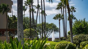 Un jardín ajardinado con palmeras, una fuente y vista al océano.