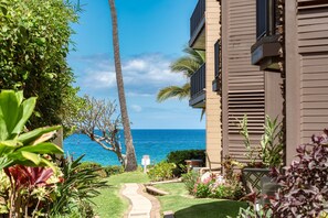 Exterior - Hale Hui Kai 106 - Beautiful Ground Floor Unit, on Keawakapu Beach, Split AC! (Kihei)